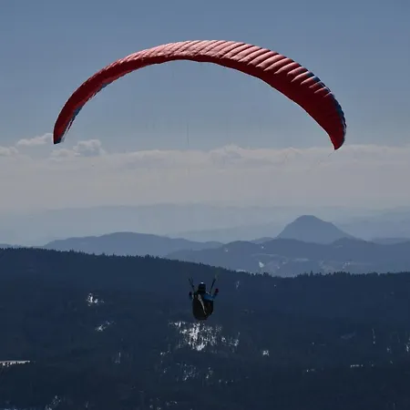 Zeleni Breg Tatil Evi Zlatibor