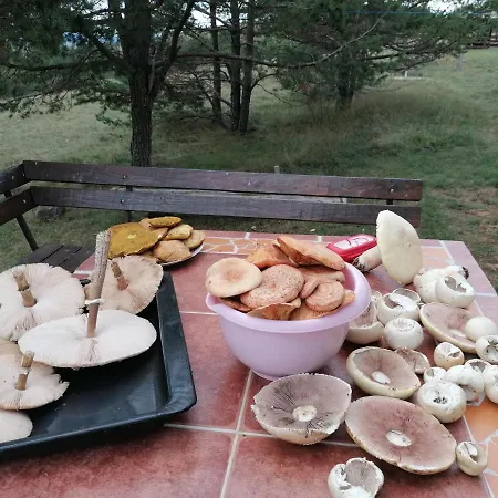 Zeleni Breg Zlatibor