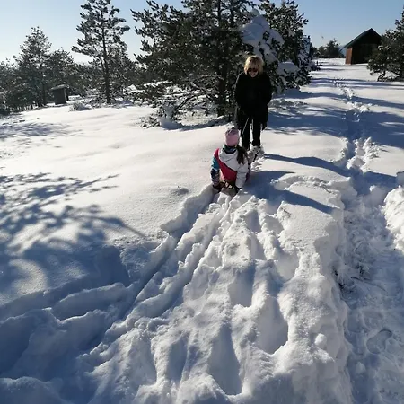 Tatil Evi Zeleni Breg Zlatibor