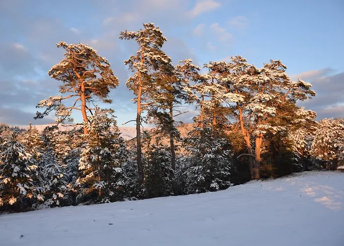 Feriehus Zeleni Breg *