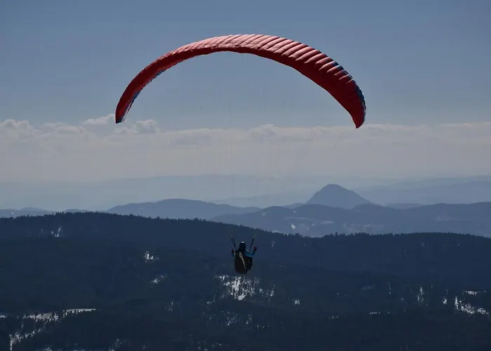 Zeleni Breg Feriehus Zlatibor