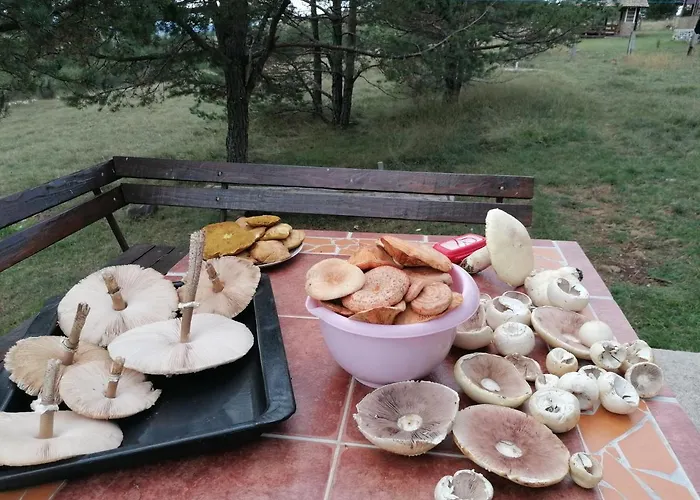 Zeleni Breg Zlatibor